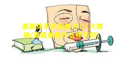 鼻假体手术风险 🦄 大揭秘(鼻假体是什么样子的)